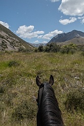 Ahuriri Conservation Area New Zealand , Wild Women Expeditions with Adventure Horse Trekking New Zealand 