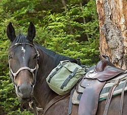 Riding in Ahuriri Conservations Area with Wild Women Expeditions and Adventure Horse Trekking New Zealand