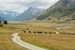 Riding in Ahuriri Conservations Area with Wild Women Expeditions and Adventure Horse Trekking New Zealand