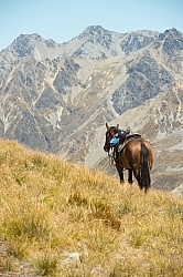 Riding in Ahuriri Conservations Area with Wild Women Expeditions and Adventure Horse Trekking New Zealand