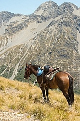 Riding in Ahuriri Conservations Area with Wild Women Expeditions and Adventure Horse Trekking New Zealand