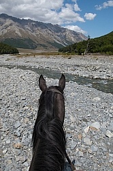 Riding in Ahuriri Conservations Area with Wild Women Expeditions and Adventure Horse Trekking New Zealand