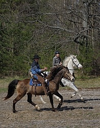 Trail Riding Couple