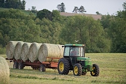 Round Bales of Hay