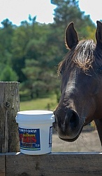 Joint Supplements Joint Supplements