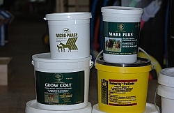 Mare and Foal Supplements