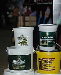 Mare and Foal Supplements