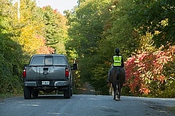 Encountering Cars While Riding on the Road