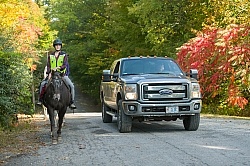 Encountering Cars While Riding on the Road
