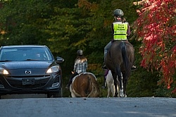 Encountering Cars While Riding on the Road