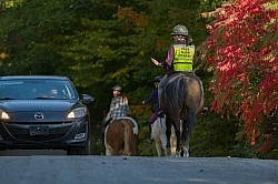 Encountering Cars While Riding on the Road