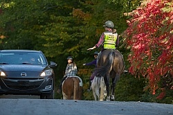 Encountering Cars While Riding on the Road