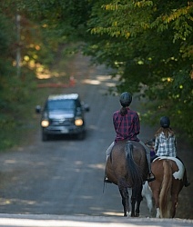 Encountering Traffic While Riding on the Road
