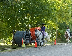 Encounters While Road Riding Riding on the Road