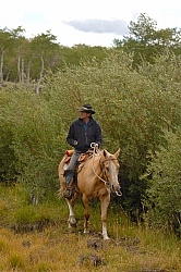 On The Trail In Wyoming with Blue Sky Sage