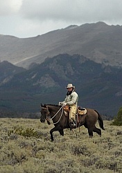 On The Trail In Wyoming with Blue Sky Sage