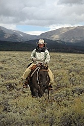 On The Trail In Wyoming with Blue Sky Sage
