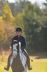 American Paint Under Saddle English