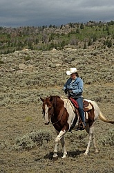 On The Trail In Wyoming with Blue Sky Sage
