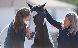 American Paint with People