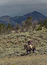 On The Trail In Wyoming with Blue Sky Sage