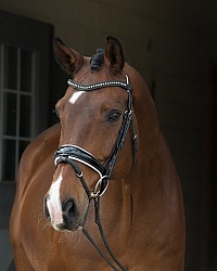 Hanoverian Portrait