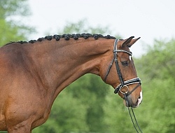 Hanoverian Portrait