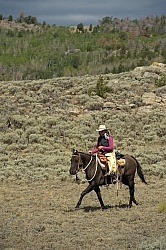 On The Trail In Wyoming with Blue Sky Sage