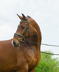 Hanoverian Portrait
