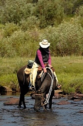 Water Crossing on The Trail