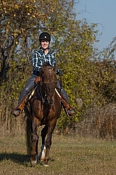 Saddlebred Ridden Western