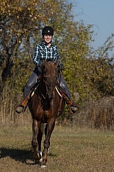 Saddlebred Ridden Western