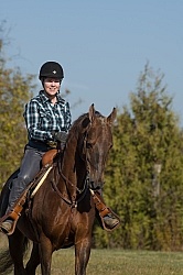 Saddlebred Ridden Western