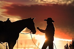 Silhouette Horse and Rider