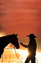 Silhouette Horse and Rider