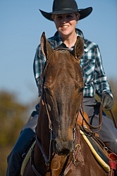 American Saddlebred Portrait