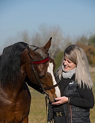 American Saddlebred with People