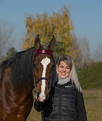 American Saddlebred with People