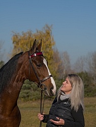 American Saddlebred with People