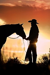 Silhouette Horse and Rider