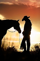 Silhouette Horse and Rider