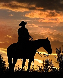 Cowboy Silhouette