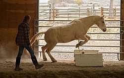 Marijn, Co owner of The Hideout Guest Ranch