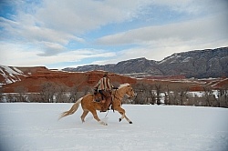 Marijn, Co owner of The Hideout Guest Ranch Marijn, Co owner of The Hideout Guest Ranch