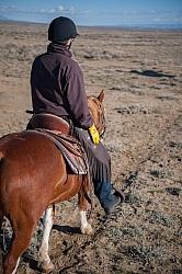 Riding to the Wild Horses with The Hideout Guest Ranch Riding to the Wild Horses with The Hideout Guest Ranch