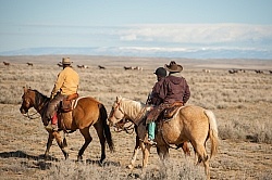 Riding to the Wild Horses with The Hideout Guest Ranch