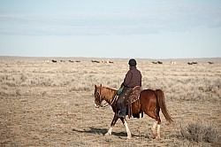Riding to the Wild Horses with The Hideout Guest Ranch Riding to the Wild Horses with The Hideout Guest Ranch
