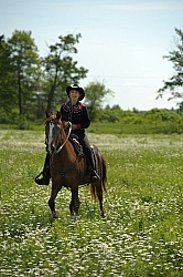 Western Trail Riding Spring Summer