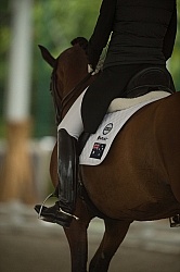 Dressage Apparel