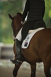 Dressage Apparel